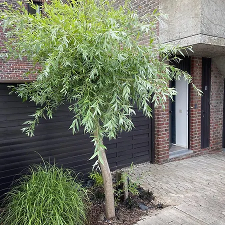 Apartmán Coester - Knusse Met Tuin *